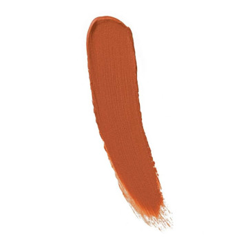FM Silk Matte Liquid Lipstick 12 Terracotta