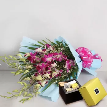 Sunflower Delight & Patchi...