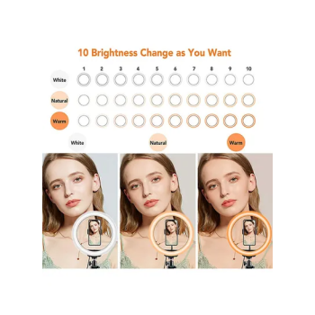 12 inch LED Ring Light With Tripod Stand And Phone Holder Black