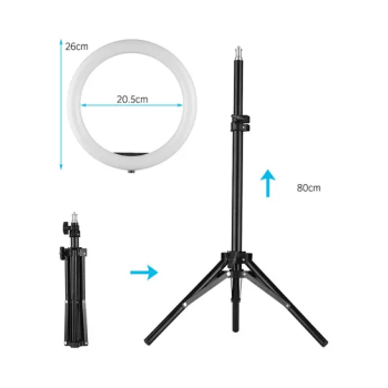 10 Inch Ring Light With Tripod Stand And 360 Phone Holder Black/White/Silver