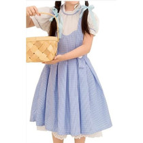 Brain Giggles Dorothy Costume from Wizard of Oz for Girls Medium 