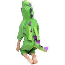 Jade Dinosaur Costume For Kids Animal Costume For Boys And Girls Dinosaur Jumpsuit Costume For Kids Party Small Green