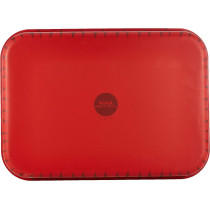 Tefal Les Specialistes 41X29Cm Rectangular Roaster Red, Aluminium, J1324982