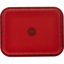 Tefal Les Specialistes 31X24 Cm Rectangular Roaster Red Aluminium J1324782