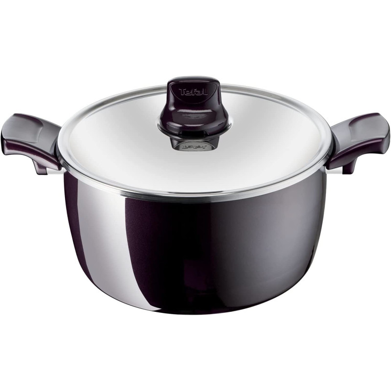 Tefal G6 Resist Intense 30 Cm Casserole With Stainless Steel Lid Red Aluminium D5225483