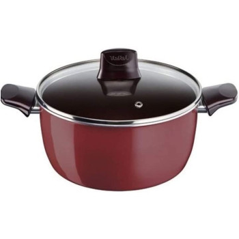 Tefal Pleasure Enamel Stewpot With Lid 30 Cm Berry Red 
