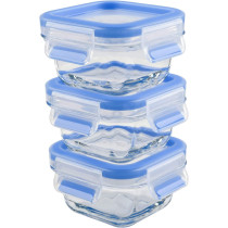 Tefal Masterseal Glass Fresh Box Food Container