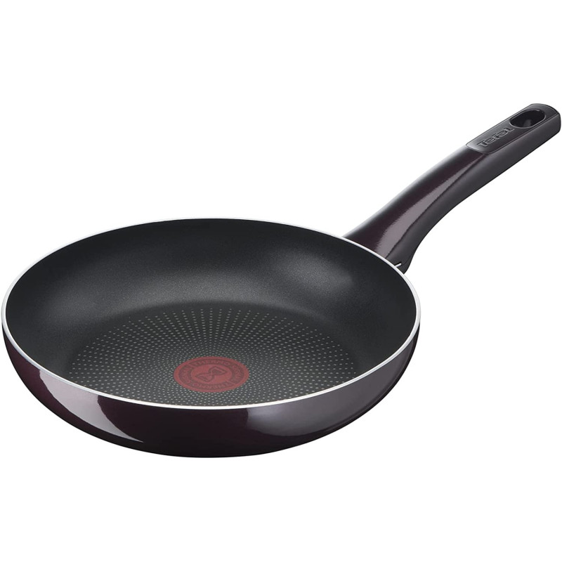 Tefal G6 Resist Intense 20 Cm Frypan With Thermospot Red D5220283