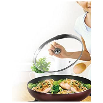 Tefal 280975 Glass Lid With Stainless Steel Rim And Steam Regulator 24Cm Transparent