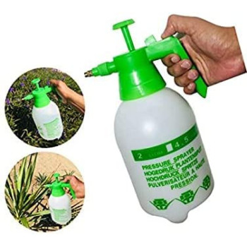 Abbasali 2 Liter Pressure Sprayer & Money Plant With Pvc Pot