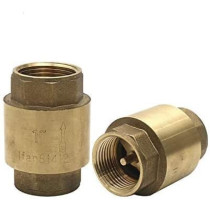 Abbasali Brass Check Valve Vertical Check Valve Size 1 2 Inch Control Water Flow And Pressure