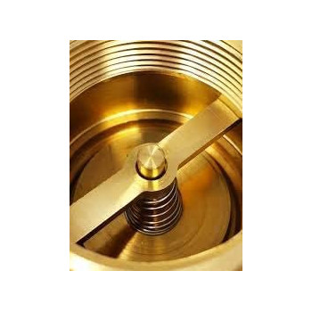 Abbasali Brass Check Valve Vertical Check Valve Size 1 2 Inch Control Water Flow And Pressure