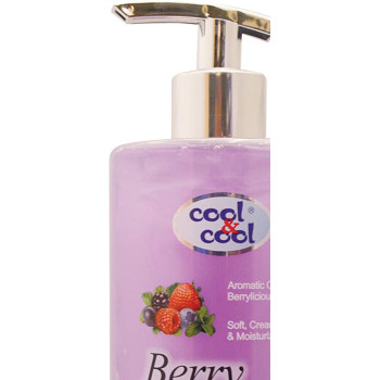 Cool & Cool Hand Wash Berry Mint 500ml