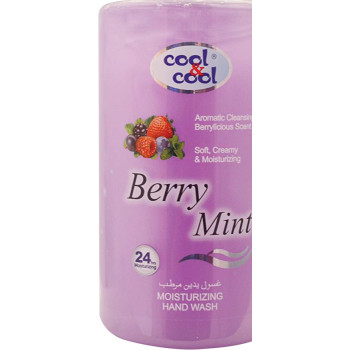 Cool & Cool Hand Wash Berry Mint 500ml