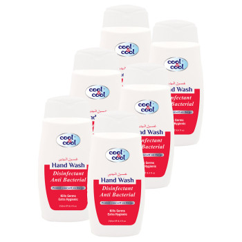 Cool & Cool AntiBacterial Disinfectant Hand Wash 250ml x6