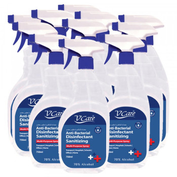 VCare Antibacterial Multipurpose Spray 750ml Pack of 12