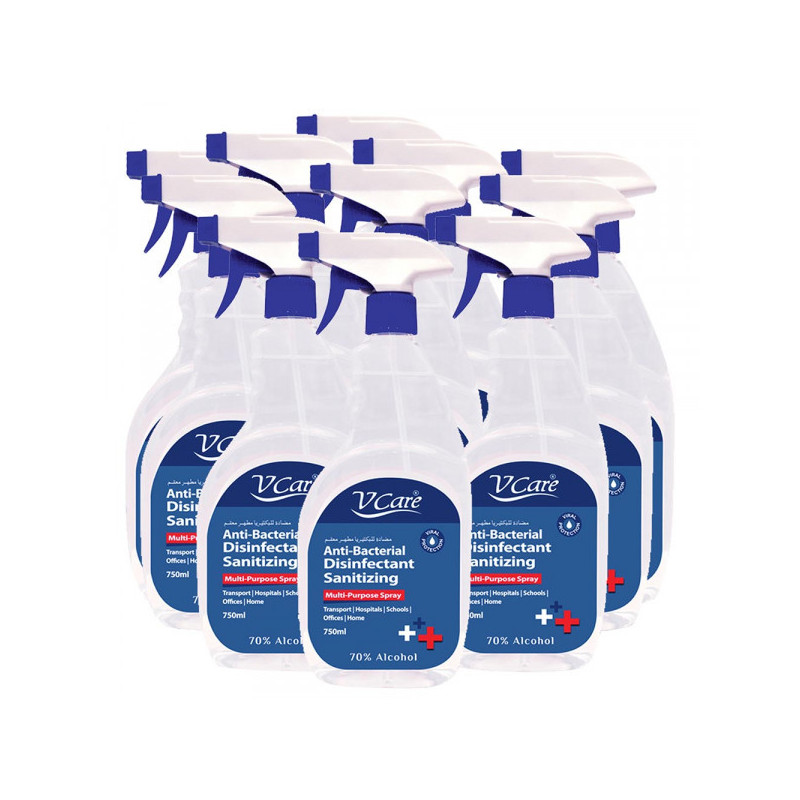 VCare Antibacterial Multipurpose Spray 750ml Pack of 12