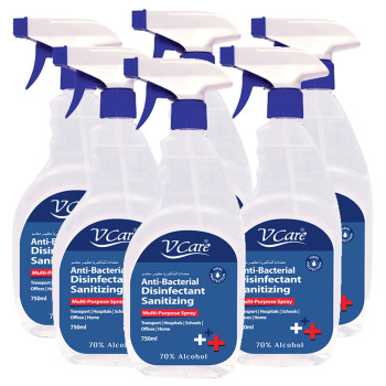 VCare Antibacterial Multipurpose Spray 750ml Pack of 6