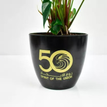 Red Anthurium National Day Planter