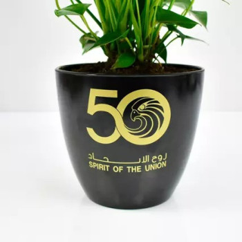 White Anthurium National Day Planter