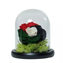Impressive Uae Flag Colored Rose