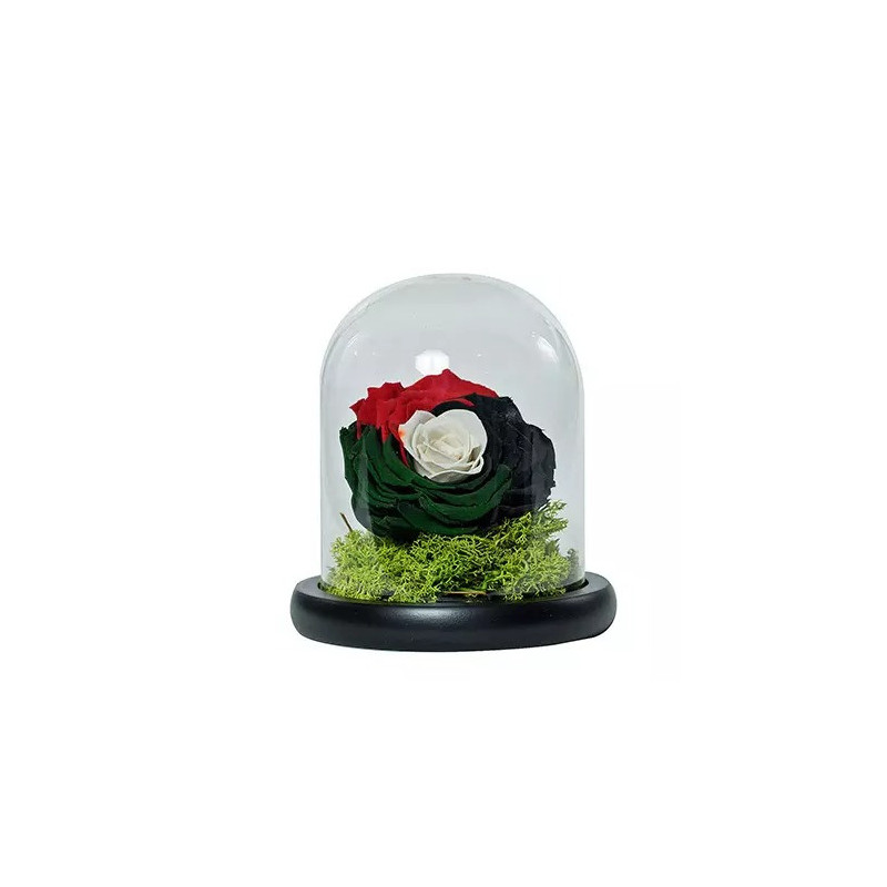 Impressive Uae Flag Colored Rose