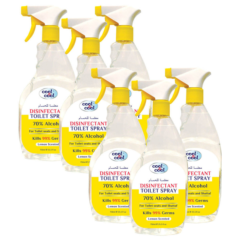 Cool & Cool Disinfectant Toilet Spray 750ml Pack of 6