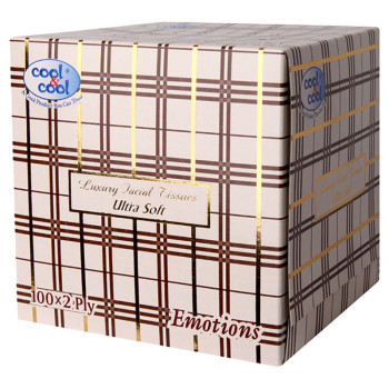Cool & Cool Embossed Facial Tissues Boutique Box 100sx2Ply