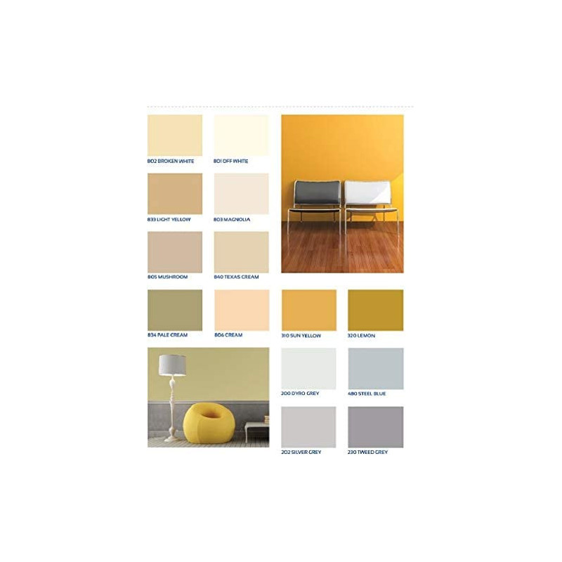 National Silk Finish Paint Eggshell Emulsion 395 Clementine