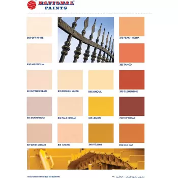 National Paint Oil Paint...