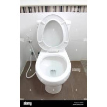 Abbasali Wc Toilet With Complete Fittings & Ceramic Wash Basin With Padestal Big Size With Complete Fitting For Bathroom
