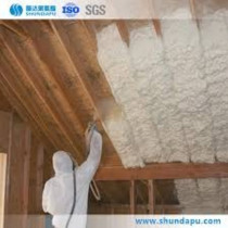 Polyurethane Spray Foam 750Ml