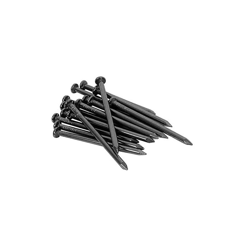 Abbasali 100 Piece Steel Nail Set Black 40X3Millimeter With Claw Hammer