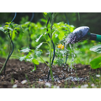 Abbasali Watering Cane 10Ltr Green For Gardening