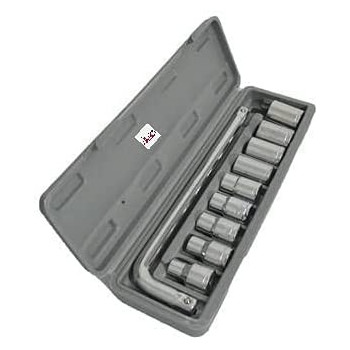 Abbasali 10Pcs L Handle With Socket Set In Plastic Box