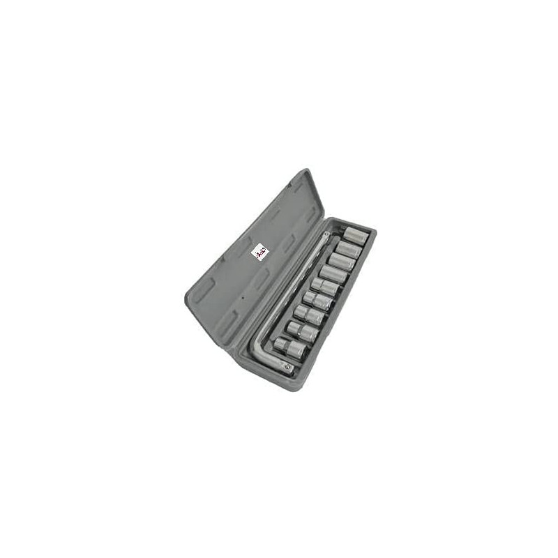 Abbasali 10Pcs L Handle With Socket Set In Plastic Box
