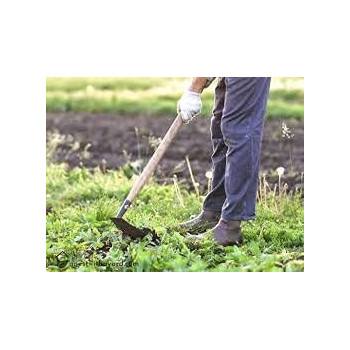 Abbasali Hoe With Handle Made In India