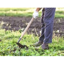 Abbasali Hoe With Handle Made In India