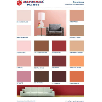 National Paint Water Based 3.6L Wall Emulsion Paint 801