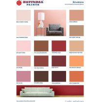 National Paint Water Based 3.6L Wall Emulsion Paint 801