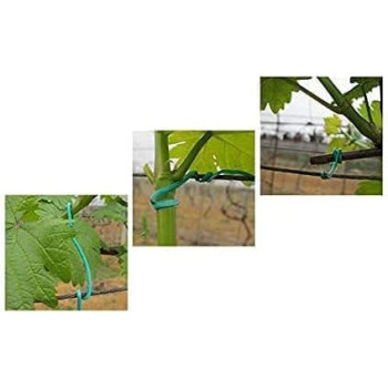 Abbasali Multi Functional Sturdy Garden Plant Twist Tie With Cutter Tie Zip 100 Meter