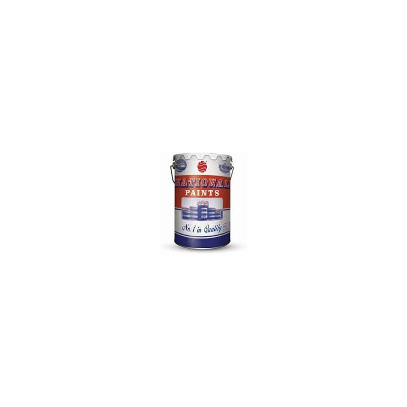 National Paint Flat Matt 1 Ltr Black