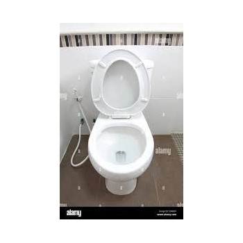 Abbasali Floor Mounted Wc Toilet Includes Wc Seat Cover And Flush Fitting