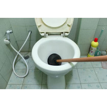 Abbasali Toilet Plunger With Long Wooden Handle