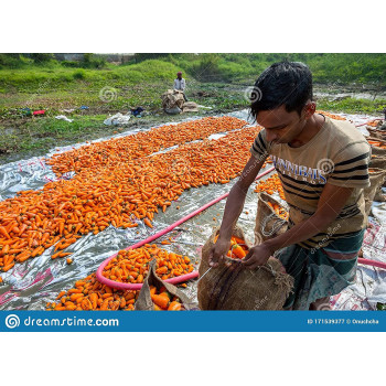 Abbasali Industrial Type Big Sewing Needle 145Mm And Cotton Rope For Packing Jute And Plastic Bag