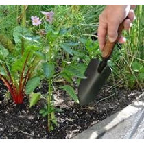 Abbasali 3 Pieces Garden Tool Set
