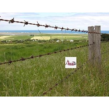 Abbasali Barbed Wiregarden Fencing