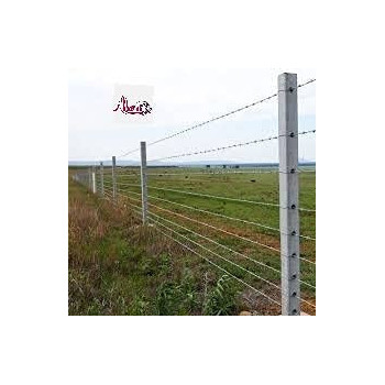 Abbasali Barbed Wiregarden Fencing