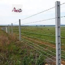 Abbasali Barbed Wiregarden Fencing