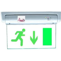 Abbasali Exit Down Green Sign In Clear Light Board 230V With Battery Backup